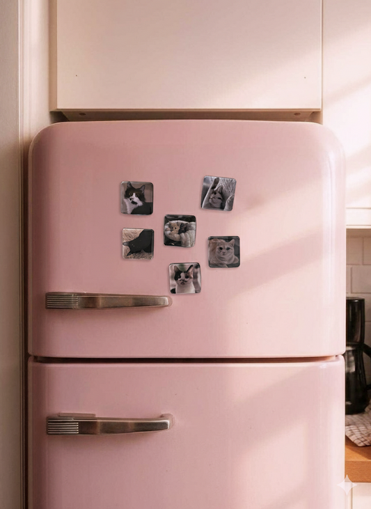 Customizable magnets (6pcs)