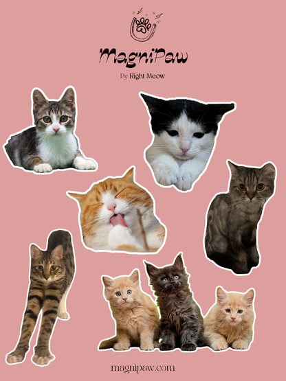 Customizable stickers (6pcs)