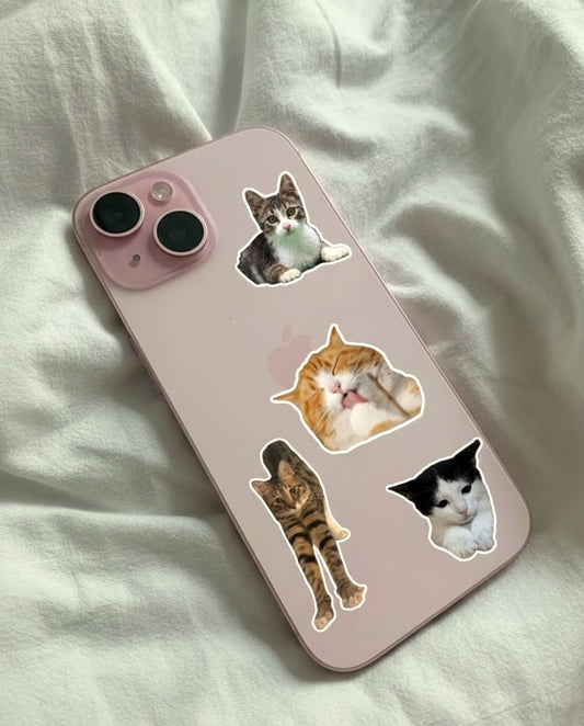 Customizable stickers (6pcs)